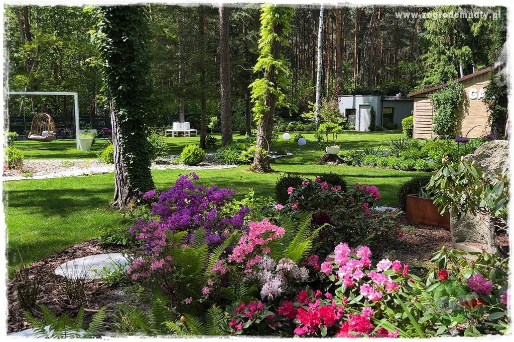 Ogród leśny 40a Ogród leśny 40a