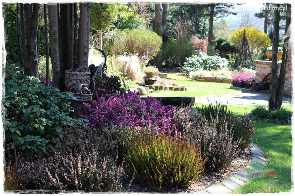 Ogród leśny 45 Ogród leśny 45