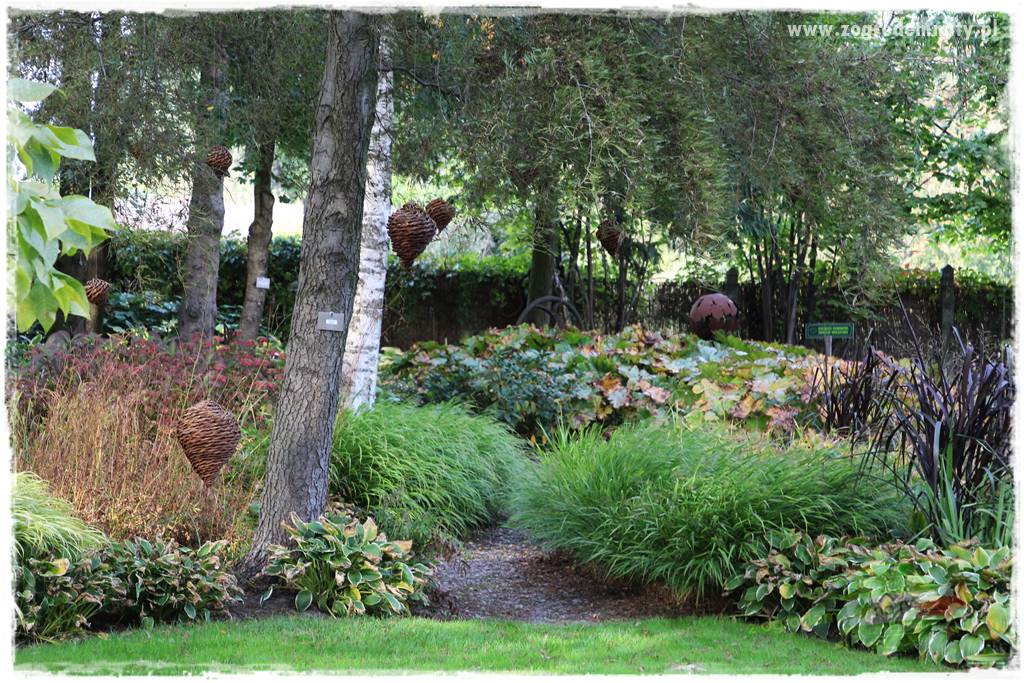 Ogród leśny 48 Ogród leśny 48