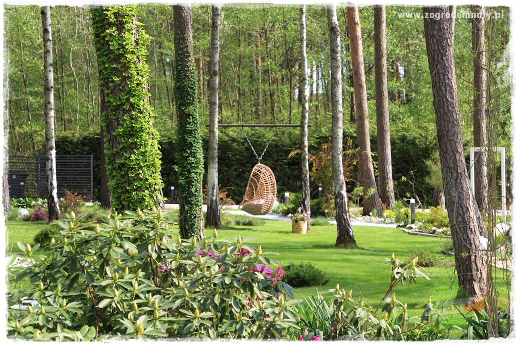 Ogród leśny 52 Ogród leśny 52
