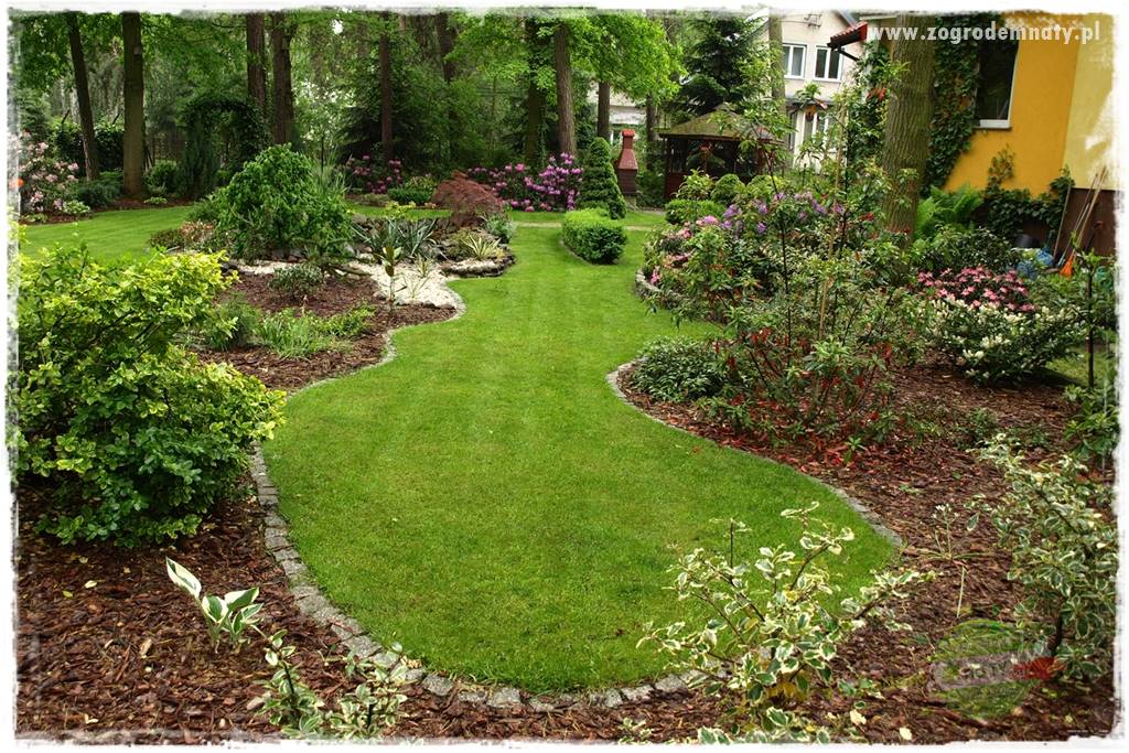 Ogród leśny 57 Ogród leśny 57