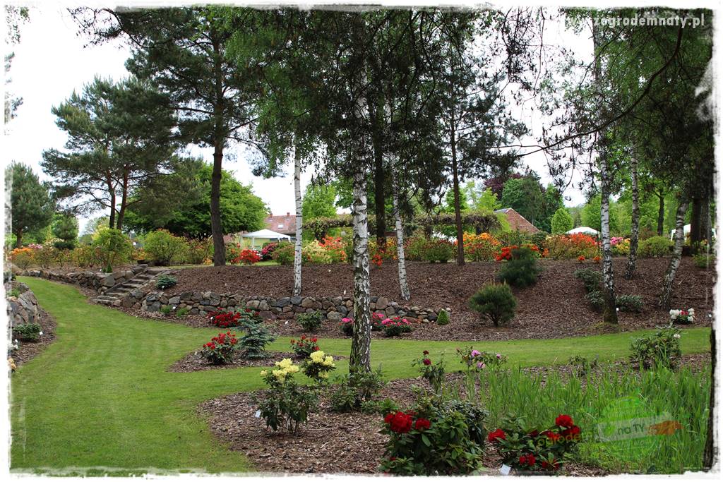 Ogród leśny 68 Ogród leśny 68