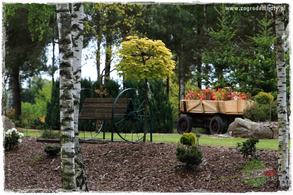 Ogród leśny 69 Ogród leśny 69