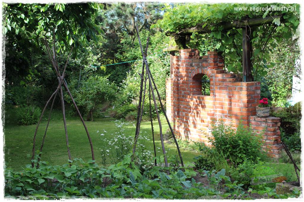 Ogród leśny 8 Ogród leśny 8