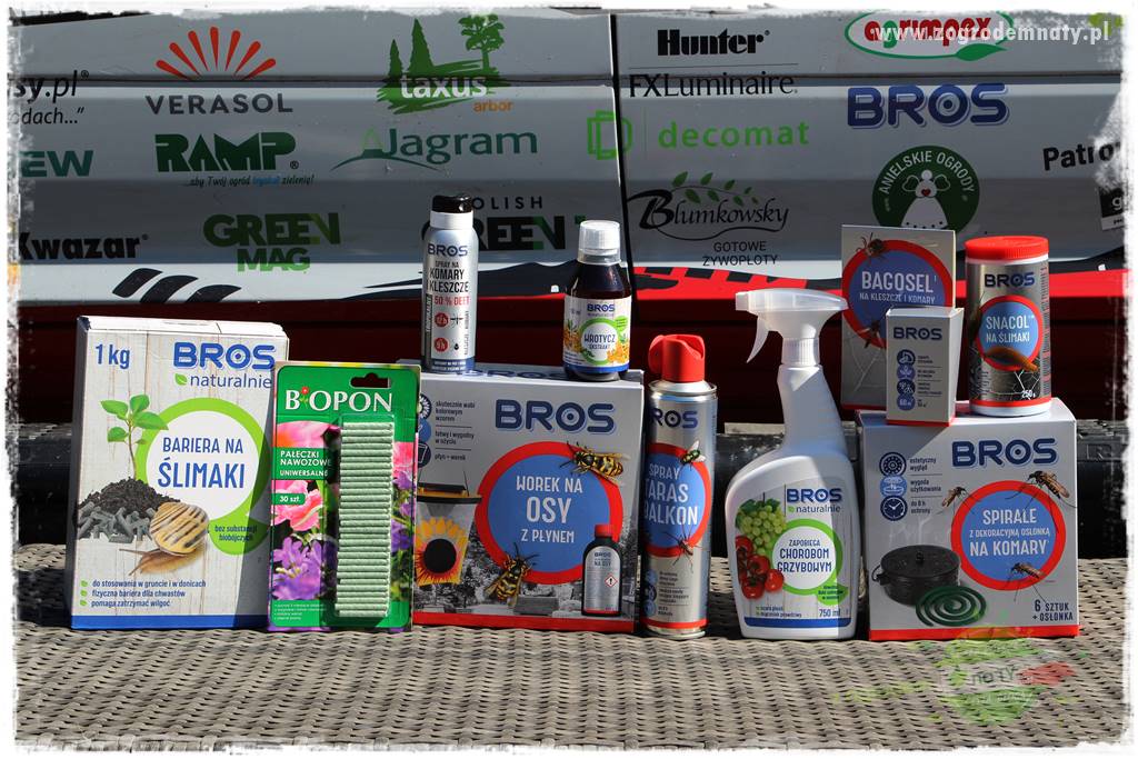 Ogród pod drzewami 101