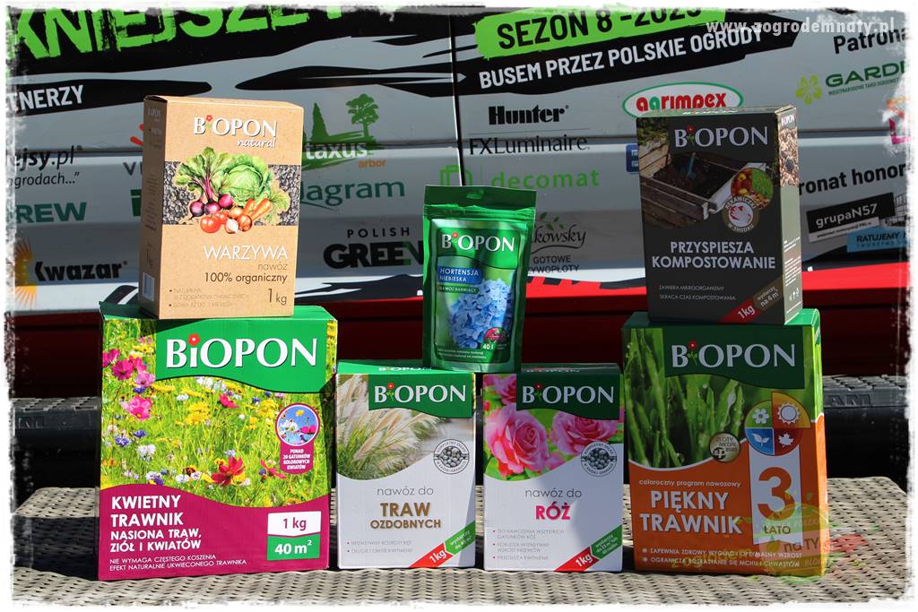 Ogród pod drzewami 118