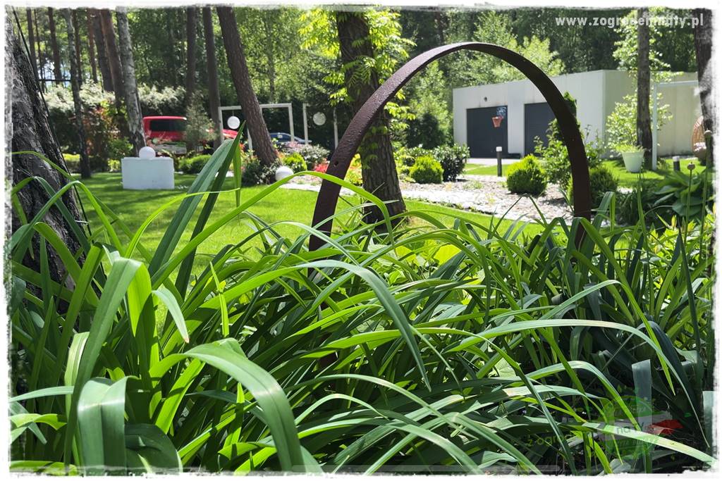 Ogród pod drzewami 21