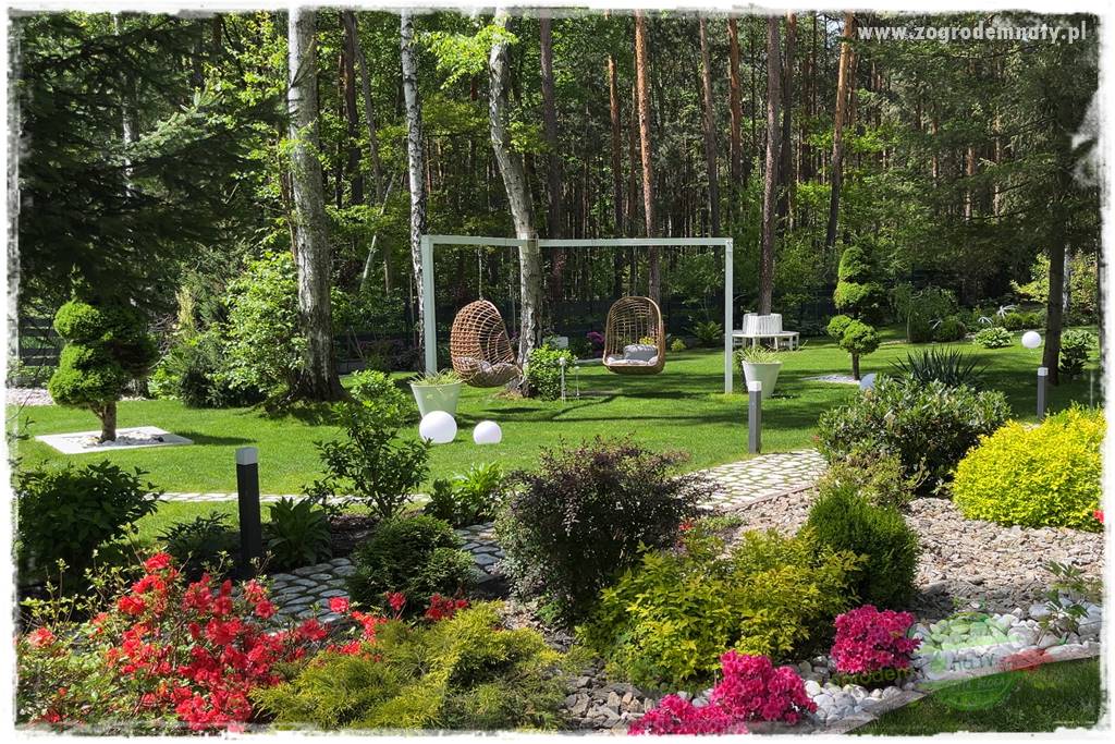 Ogród pod drzewami 23