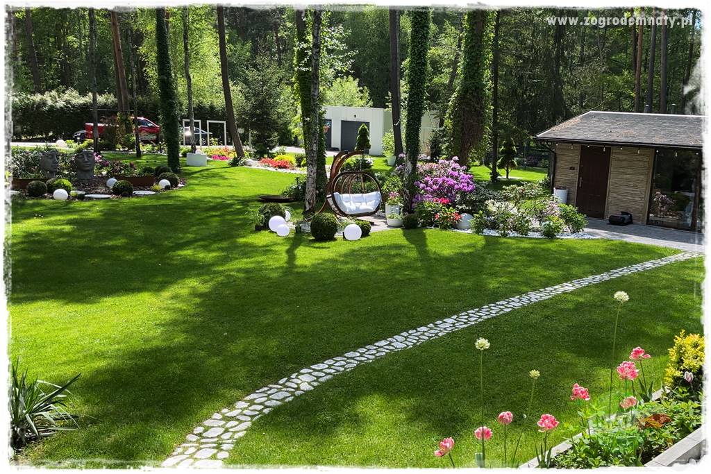 Ogród pod drzewami 25