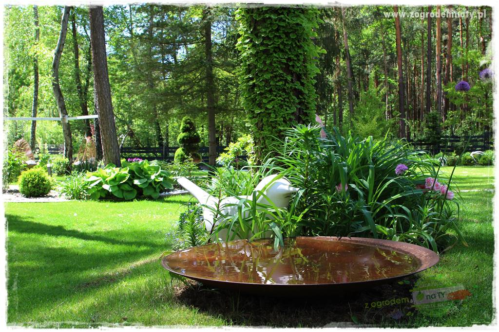 Ogród pod drzewami 3