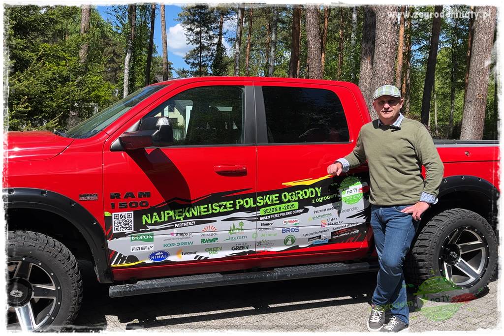 Ogród pod drzewami 300