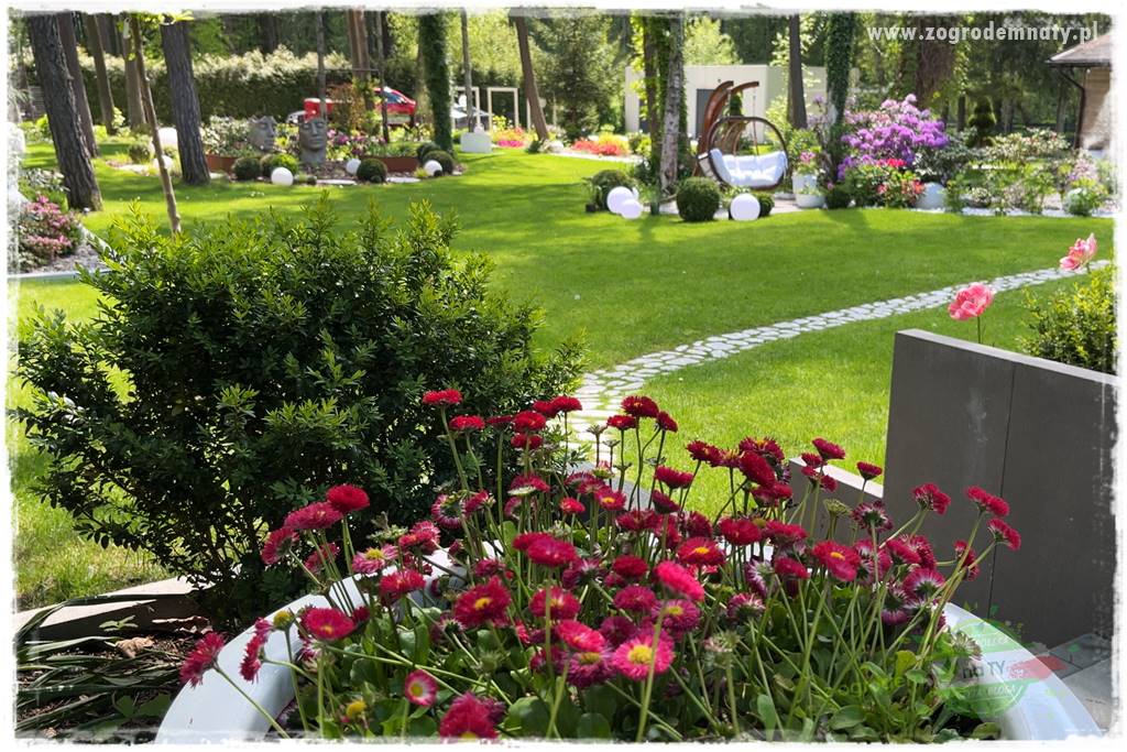 Ogród pod drzewami 301