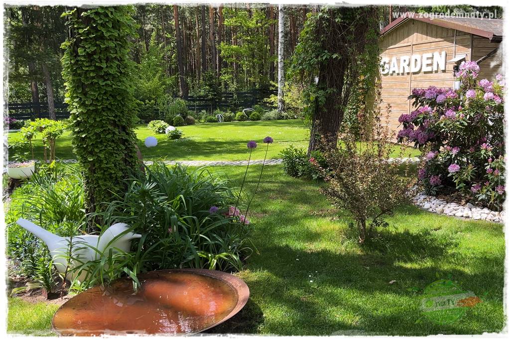 Ogród pod drzewami 303