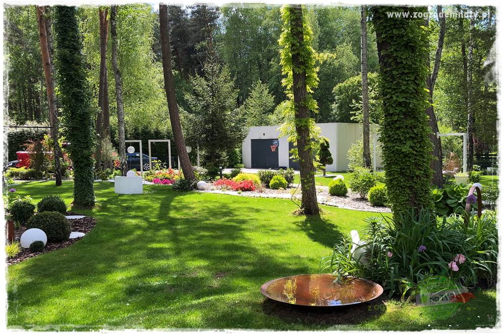 Ogród pod drzewami 305