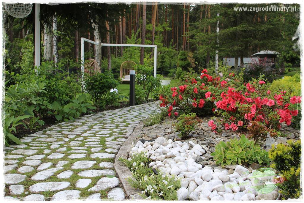 Ogród pod drzewami 32