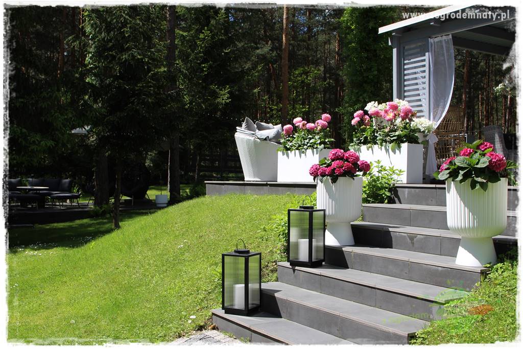 Ogród pod drzewami 35