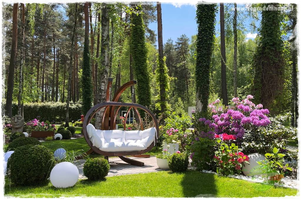 Ogród pod drzewami 36