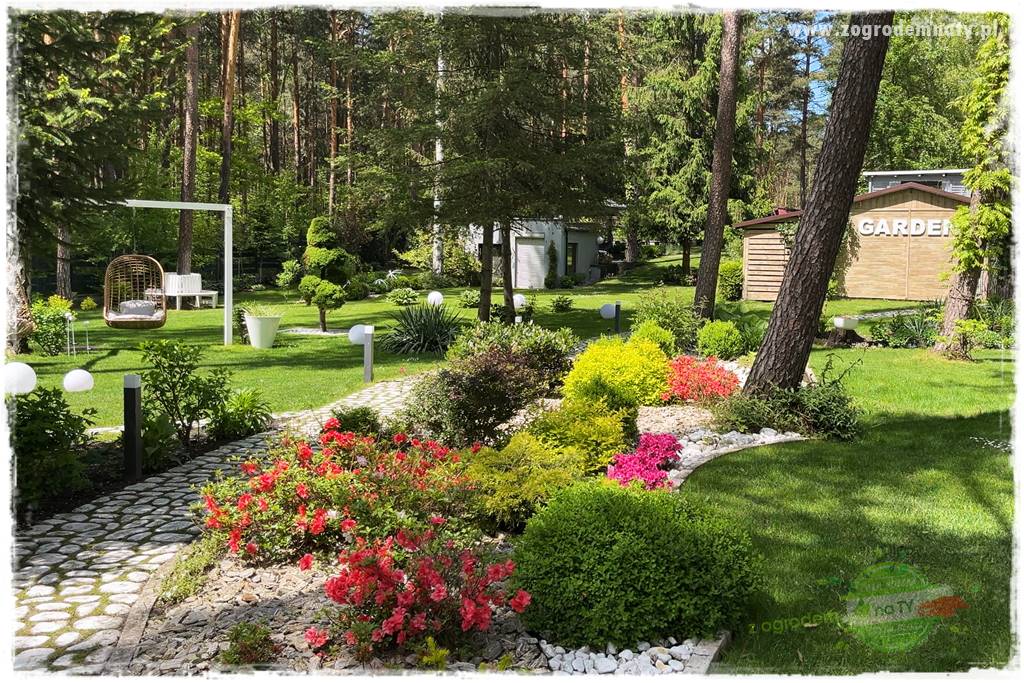 Ogród pod drzewami 37