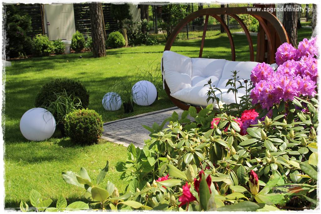 Ogród pod drzewami 4