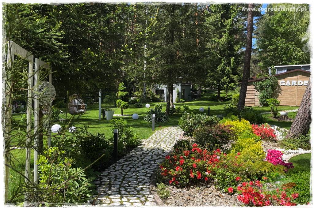 Ogród pod drzewami 400