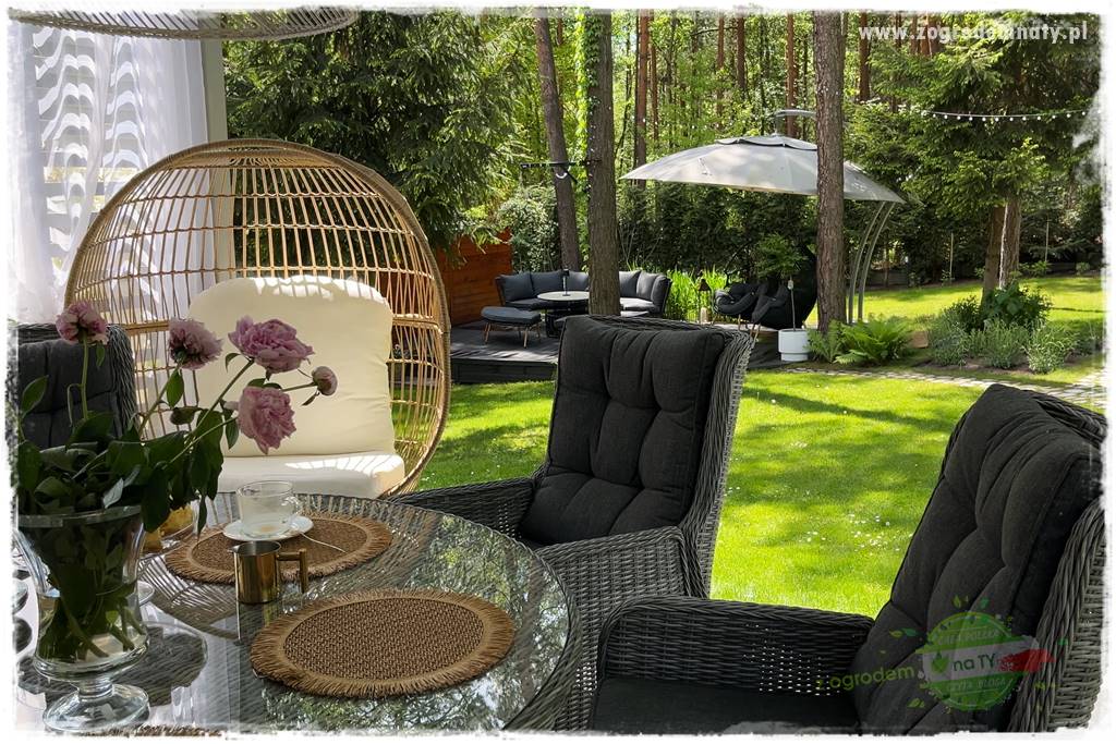 Ogród pod drzewami 401