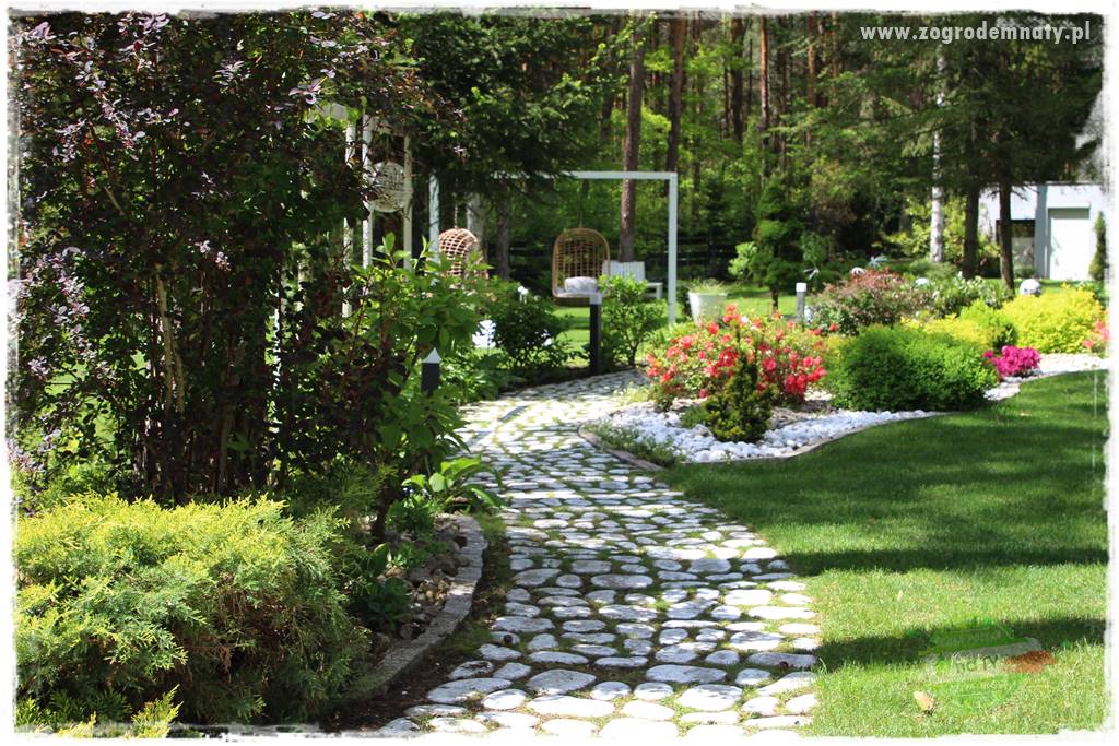 Ogród pod drzewami 403