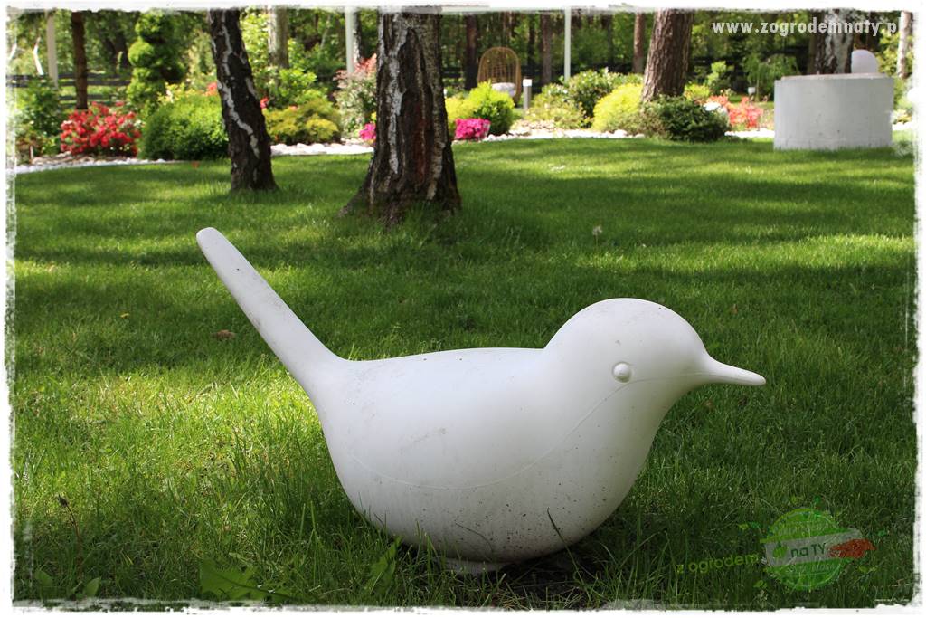 Ogród pod drzewami 406