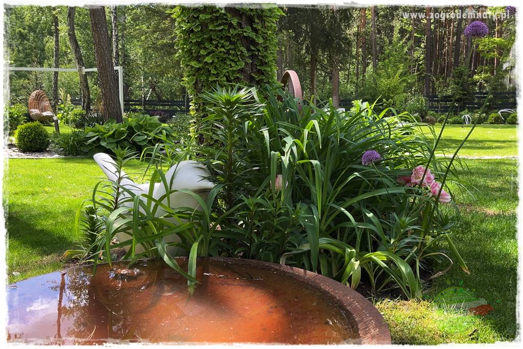 Ogród pod drzewami 409