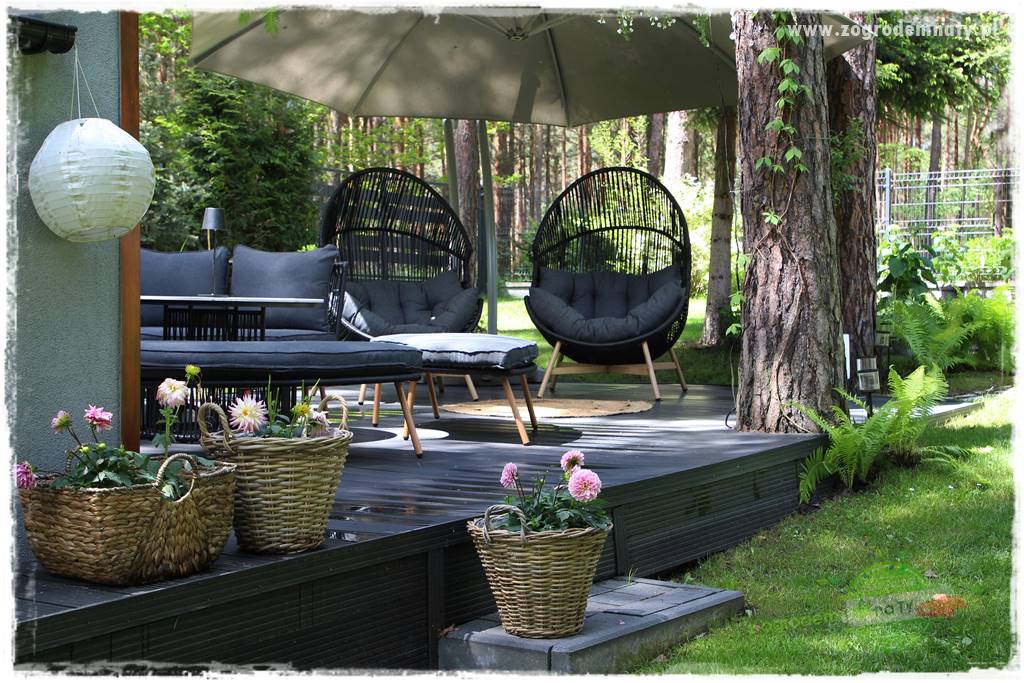 Ogród pod drzewami 411