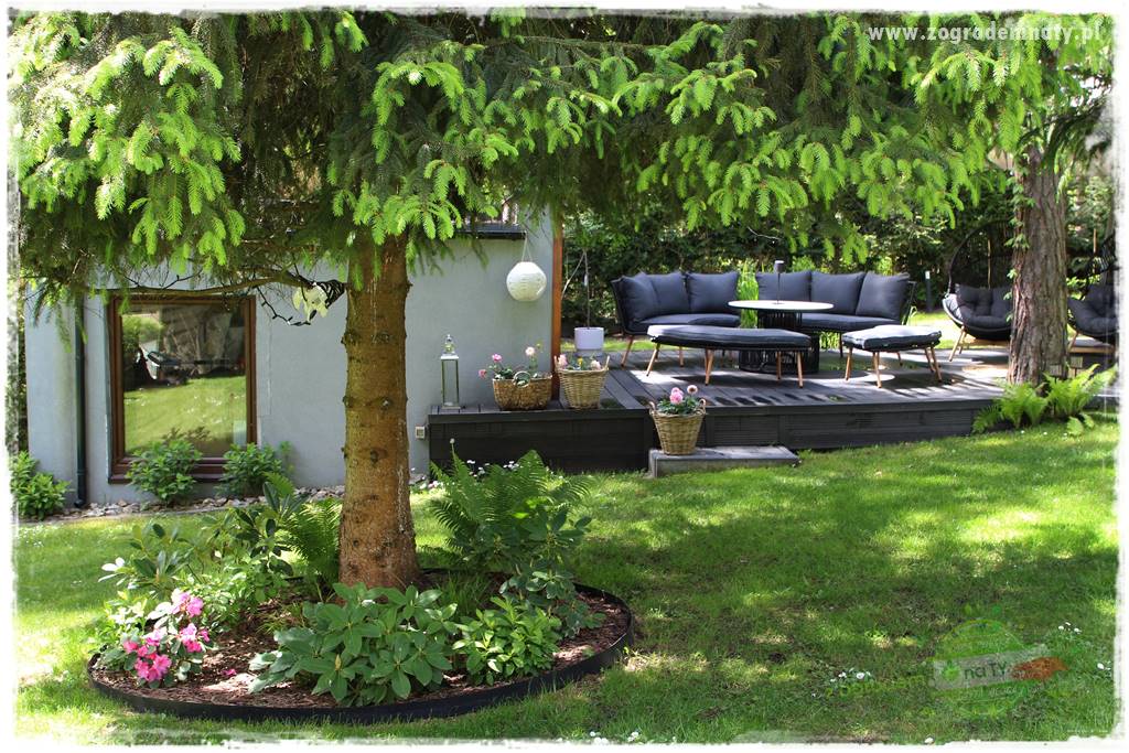 Ogród pod drzewami 419