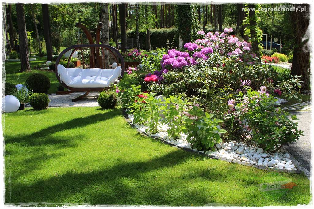 Ogród pod drzewami 421