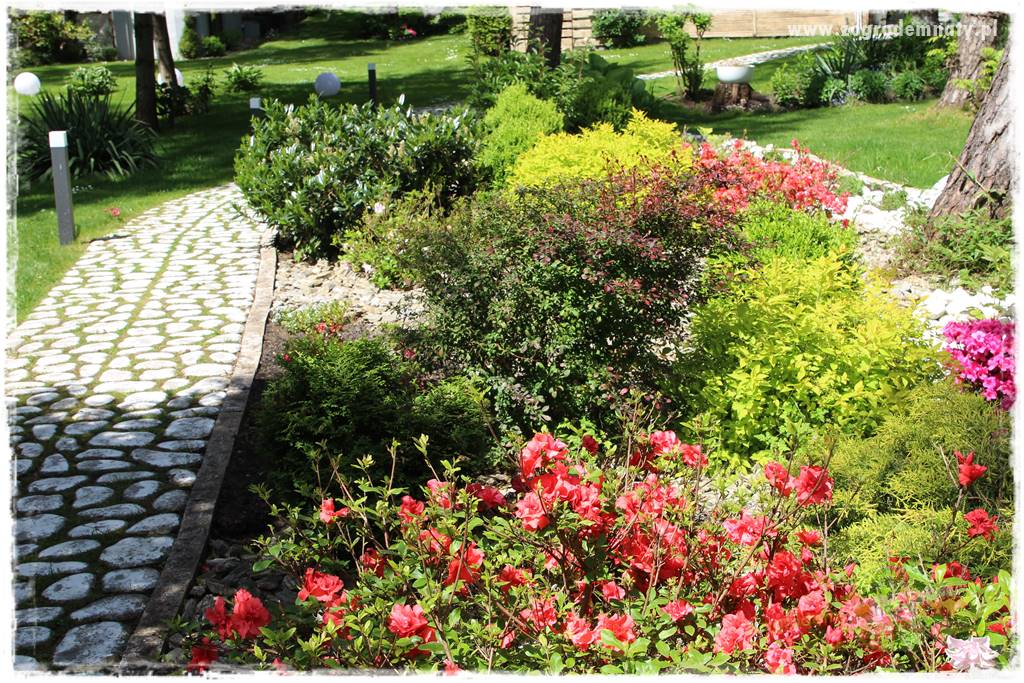 Ogród pod drzewami 422