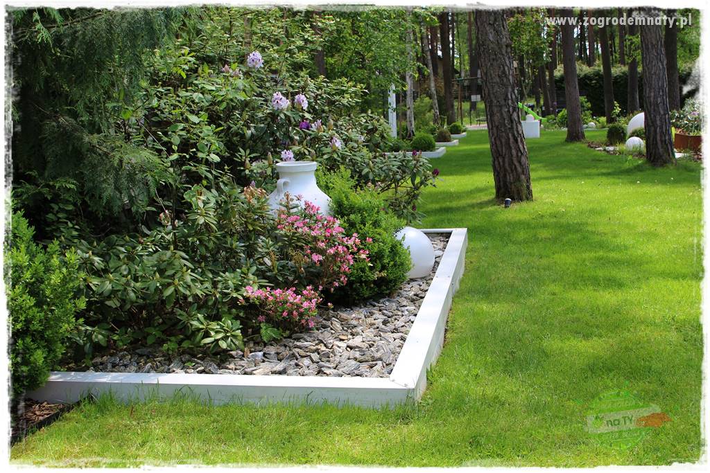 Ogród pod drzewami 423