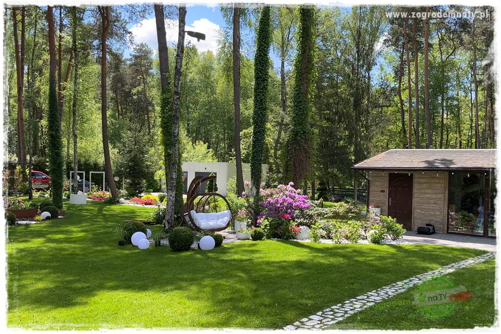 Ogród pod drzewami 5