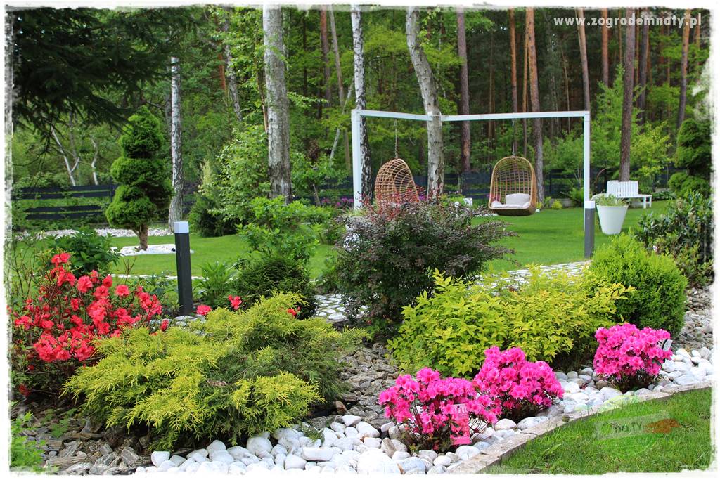 Ogród pod drzewami 6