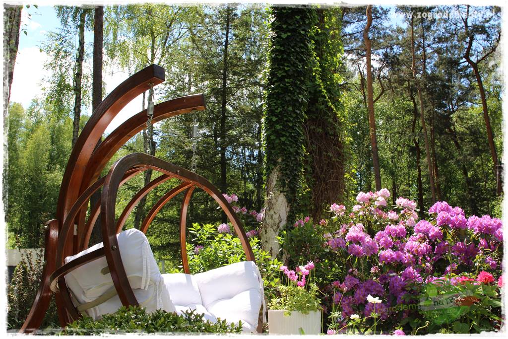 Ogród pod drzewami 8