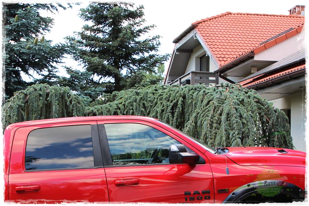 Staw kąpielowy w ogrodzie 15 Staw kąpielowy w ogrodzie 15