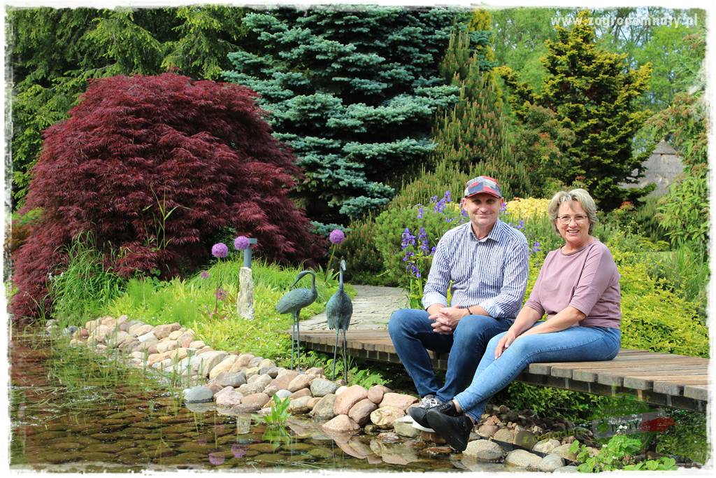 Staw kąpielowy w ogrodzie 16 Staw kąpielowy w ogrodzie 16