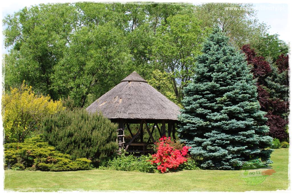 Staw kąpielowy w ogrodzie 20 Staw kąpielowy w ogrodzie 20