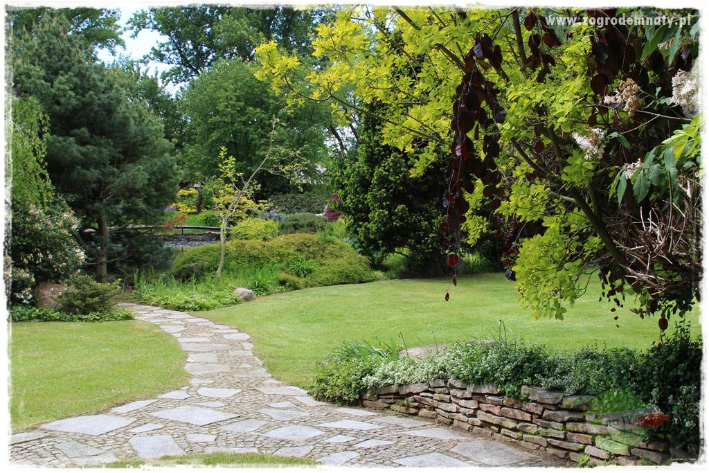 Staw kąpielowy w ogrodzie 21 Staw kąpielowy w ogrodzie 21