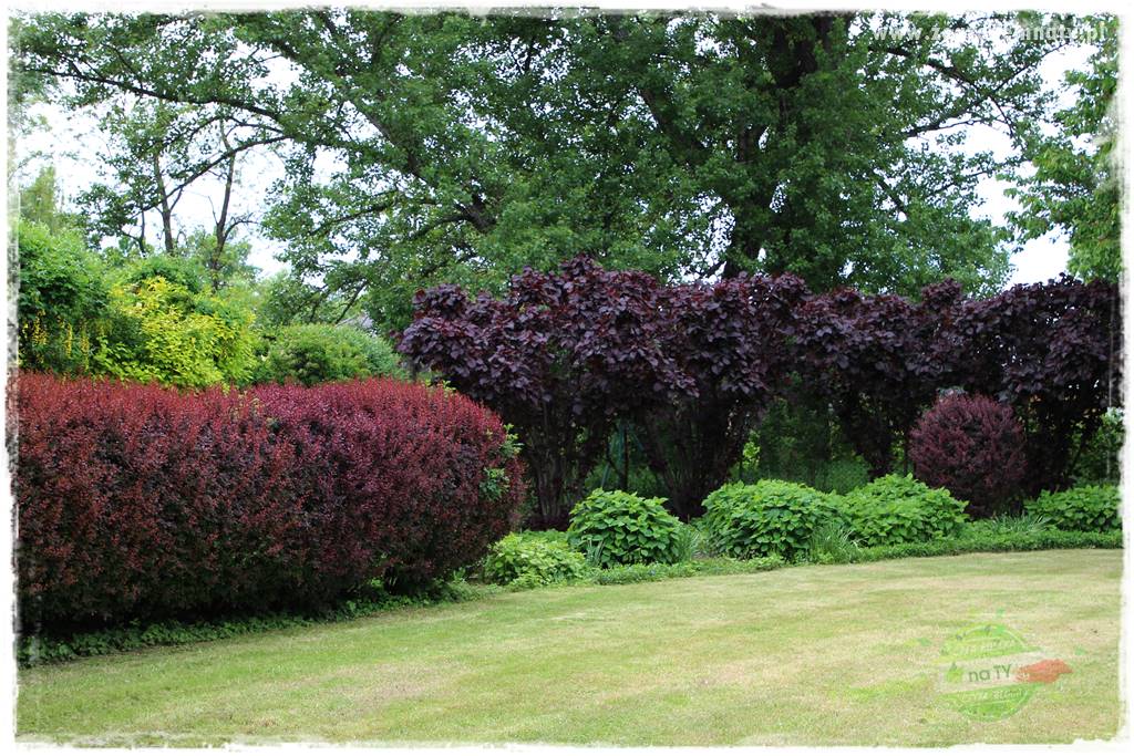 Staw kąpielowy w ogrodzie 22 Staw kąpielowy w ogrodzie 22