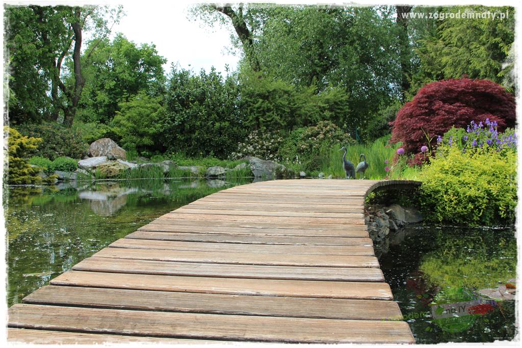 Staw kąpielowy w ogrodzie 25 Staw kąpielowy w ogrodzie 25