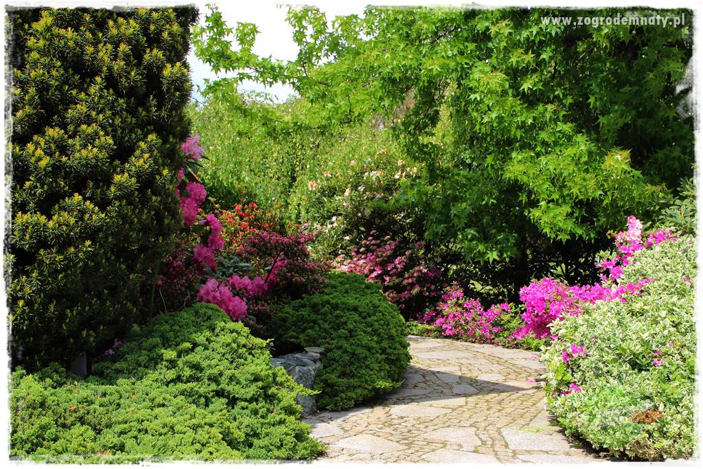 Staw kąpielowy w ogrodzie 30 Staw kąpielowy w ogrodzie 30