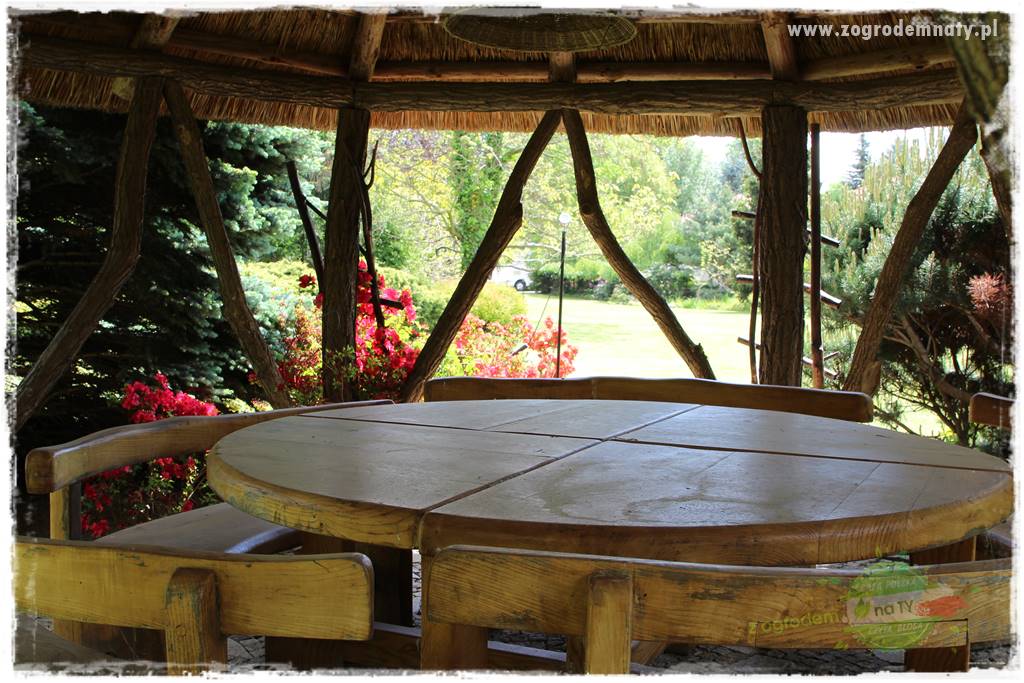 Staw kąpielowy w ogrodzie 31 Staw kąpielowy w ogrodzie 31