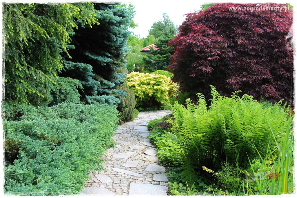 Staw kąpielowy w ogrodzie 35 Staw kąpielowy w ogrodzie 35