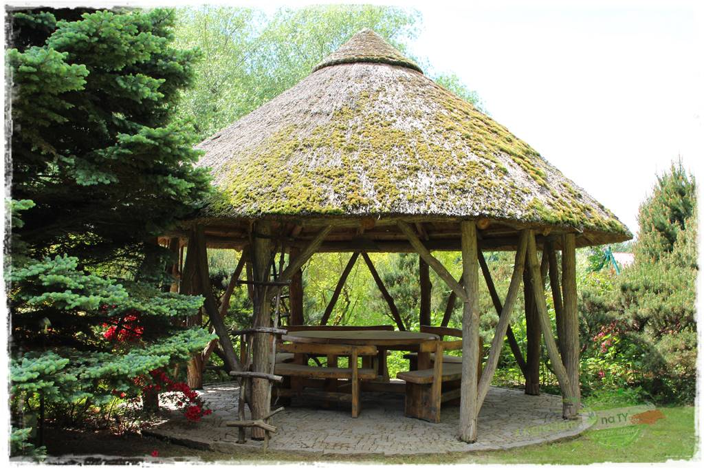 Staw kąpielowy w ogrodzie 4 Staw kąpielowy w ogrodzie 4