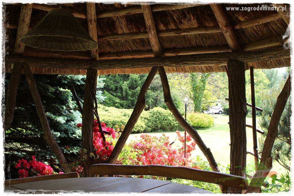 Staw kąpielowy w ogrodzie 405 Staw kąpielowy w ogrodzie 405