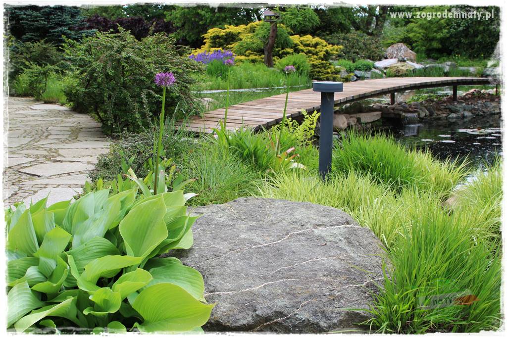 Staw kąpielowy w ogrodzie 414 Staw kąpielowy w ogrodzie 414