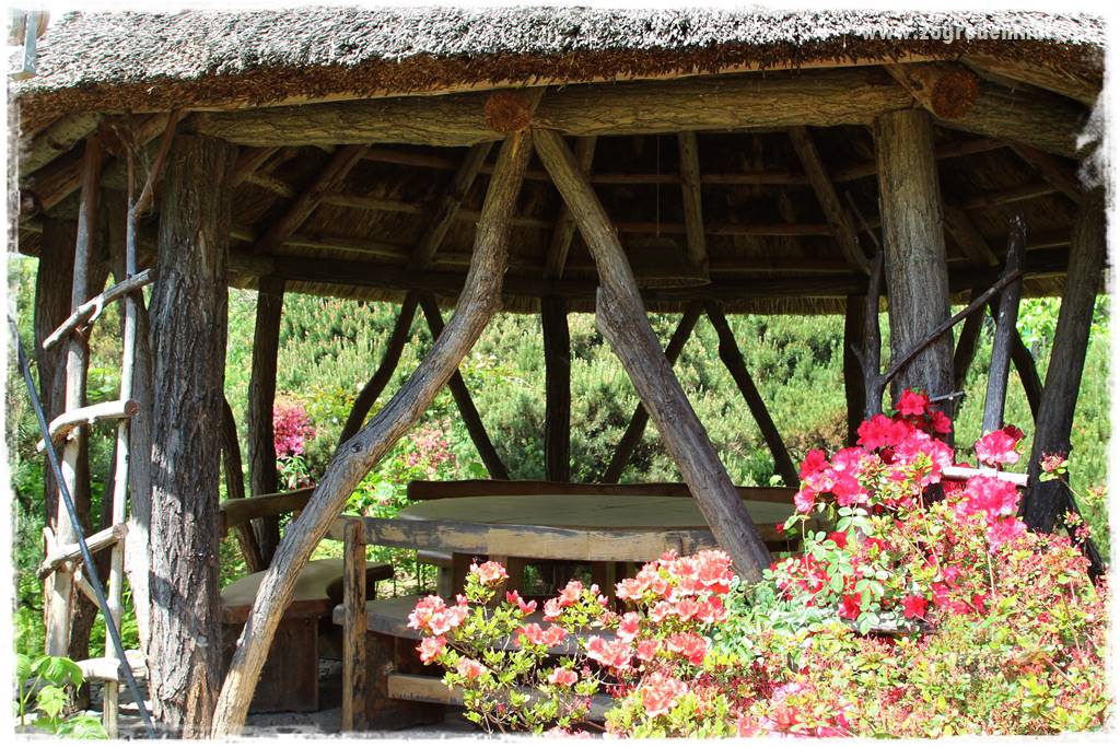 Staw kąpielowy w ogrodzie 424 Staw kąpielowy w ogrodzie 424