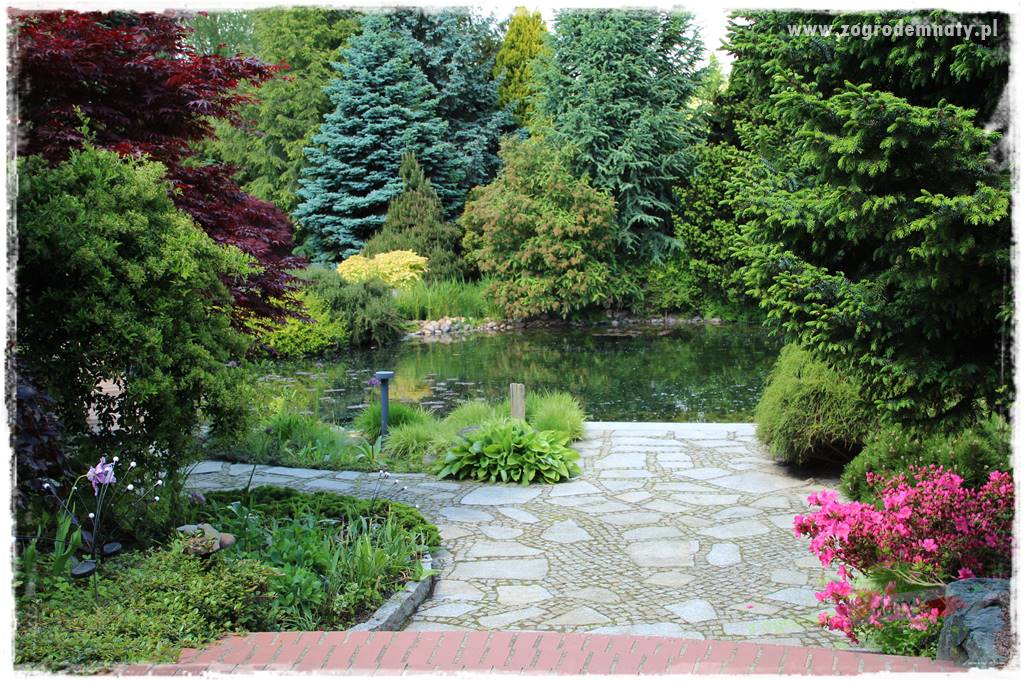 Staw kąpielowy w ogrodzie 8 Staw kąpielowy w ogrodzie 8